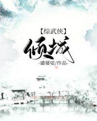 综武侠马甲
